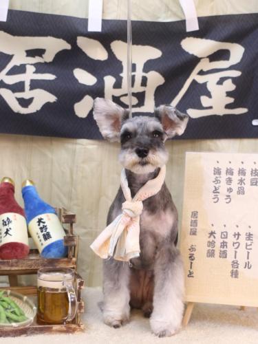 20240627むぎちゃん